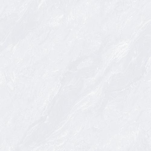 G888018T(2)