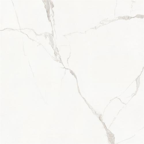 JDLS8839