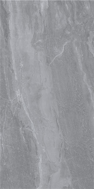 LT816016-2