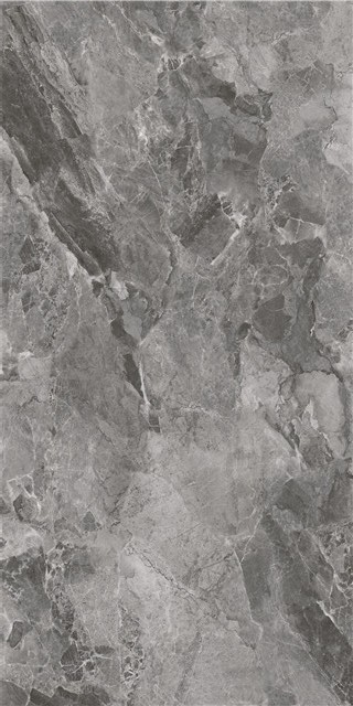 LT816009-2