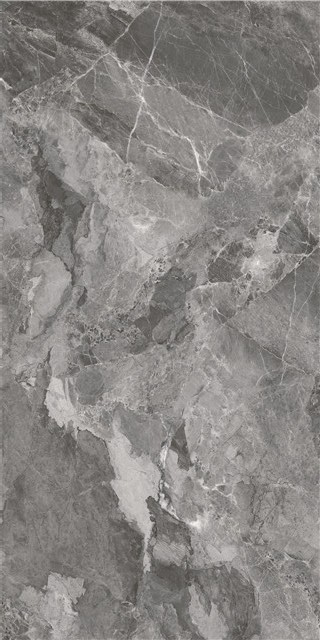 LT816009-4