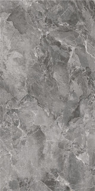 LT816009-3