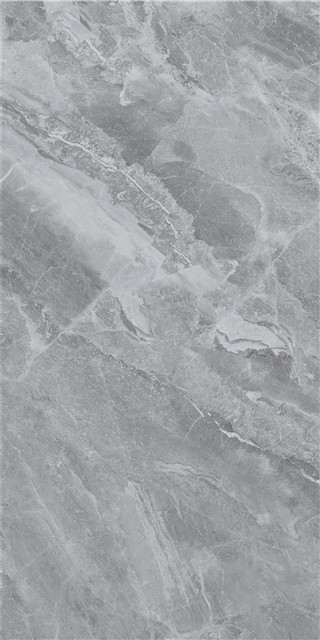 LT816007-4