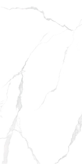 LT816002-2