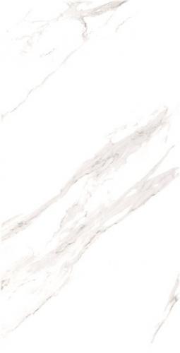 JLN12605