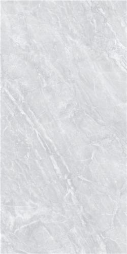 LT816017-4