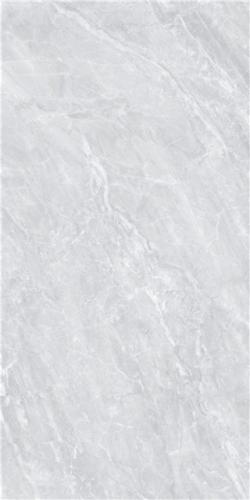 LT816017-2