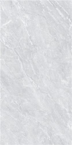 LT816017-3