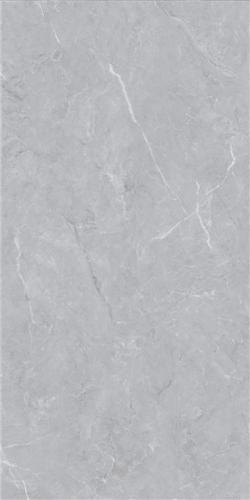 LT816015-2