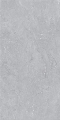 LT816015-3