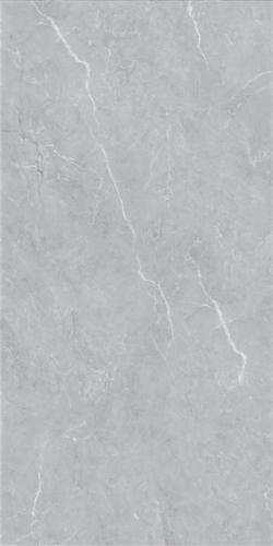 LT816015-4