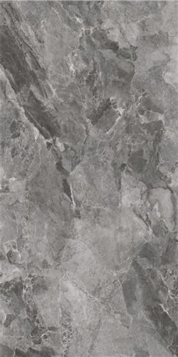 LT816009-2