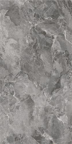 LT816009-3