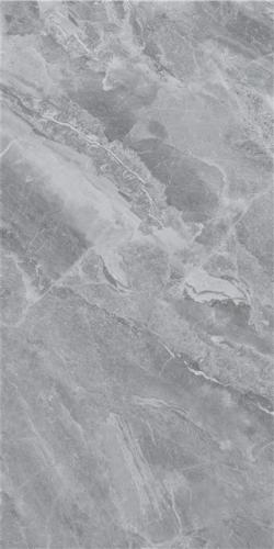 LT816007-4
