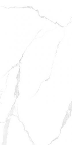 LT816002-2