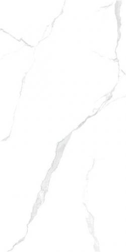 LT816002-3