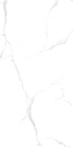 LT816002-4