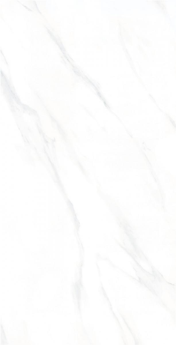 J12MP066-1