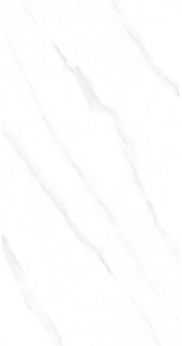 12MP066-2