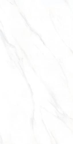 J12MP066-1