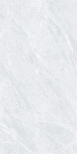 J12MP202