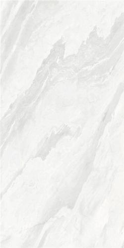 J12MP207