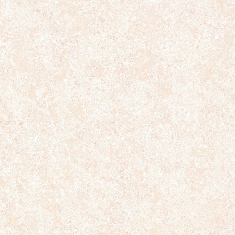 浅红郁金香